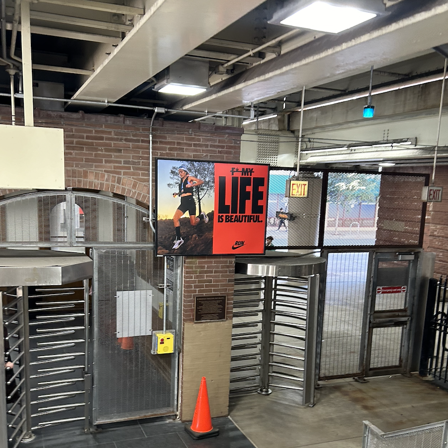 Literally New Hair, New Me