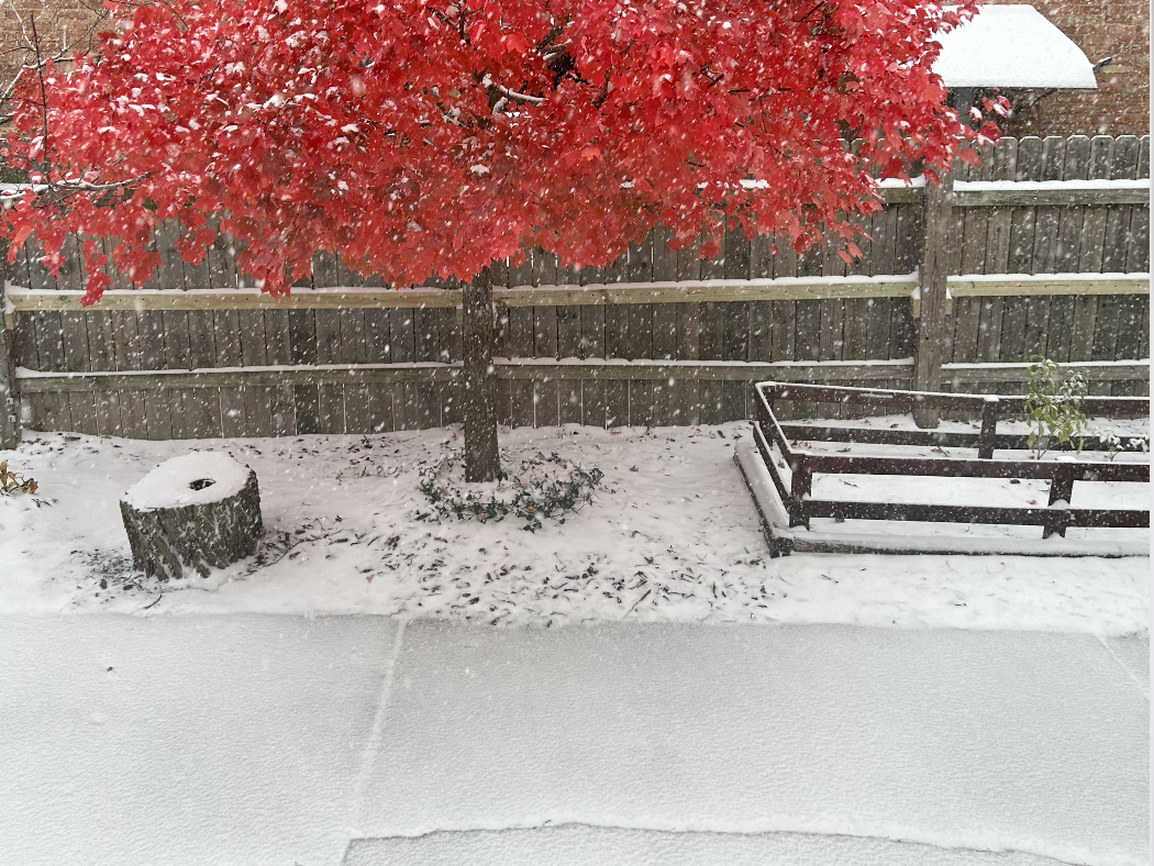 I’m Imagining Dragons